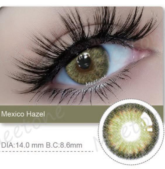 Mexico Hazel